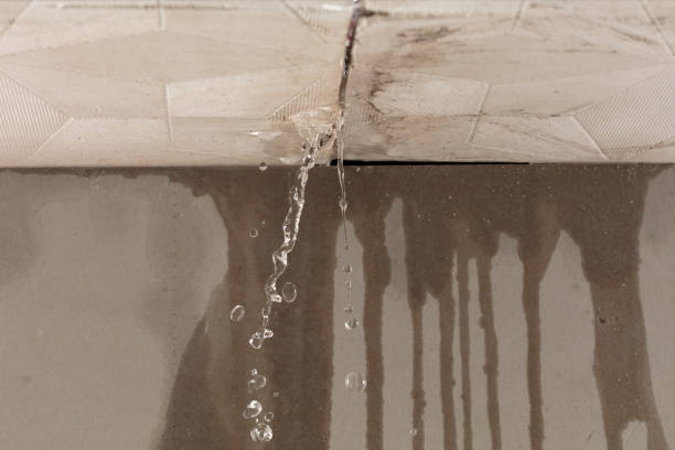 Professional Sewage Cleanup technician working in South Walpole, MA